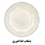 بشقاب غذاخوری سرویس چینی نیوبن از کالکشن ماربلا طرح 8002